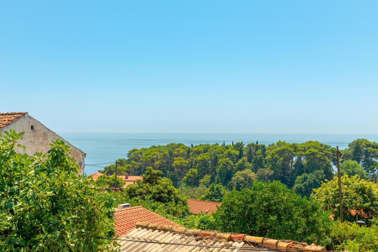 Guesthouse Isabel La Catolica 杜布罗夫尼克 外观 照片